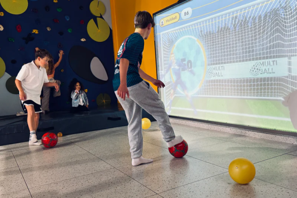 Soccer Simulator